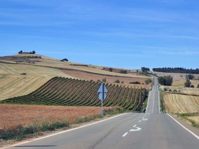 Pamplona / Region Puente la Reina